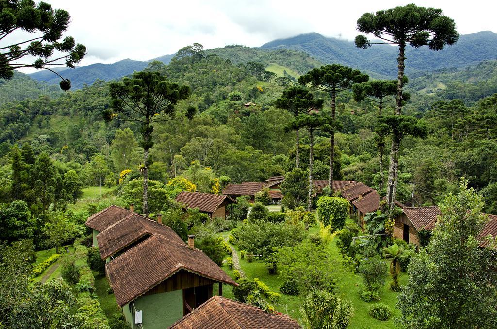 Pousada Das Araucarias วิสกอนจิ จิ เมาอา ภายนอก รูปภาพ