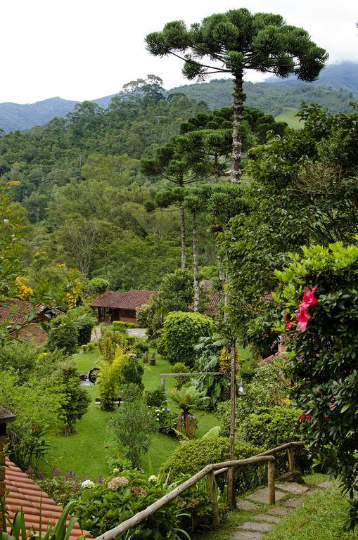 Pousada Das Araucarias วิสกอนจิ จิ เมาอา ภายนอก รูปภาพ