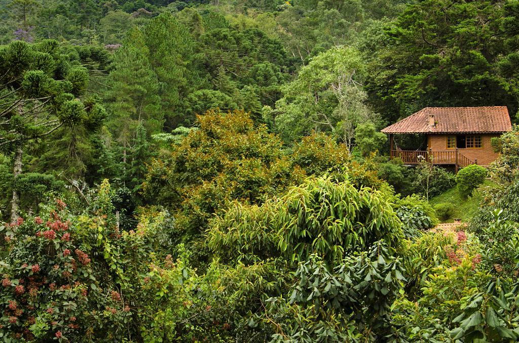 Pousada Das Araucarias วิสกอนจิ จิ เมาอา ภายนอก รูปภาพ