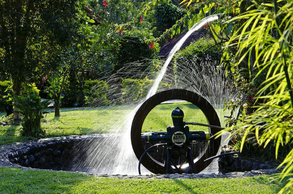Pousada Das Araucarias วิสกอนจิ จิ เมาอา ภายนอก รูปภาพ