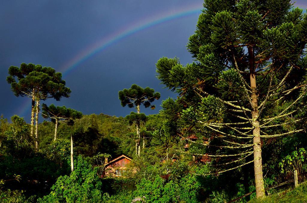 Pousada Das Araucarias Hotel วิสกอนจิ จิ เมาอา ภายนอก รูปภาพ