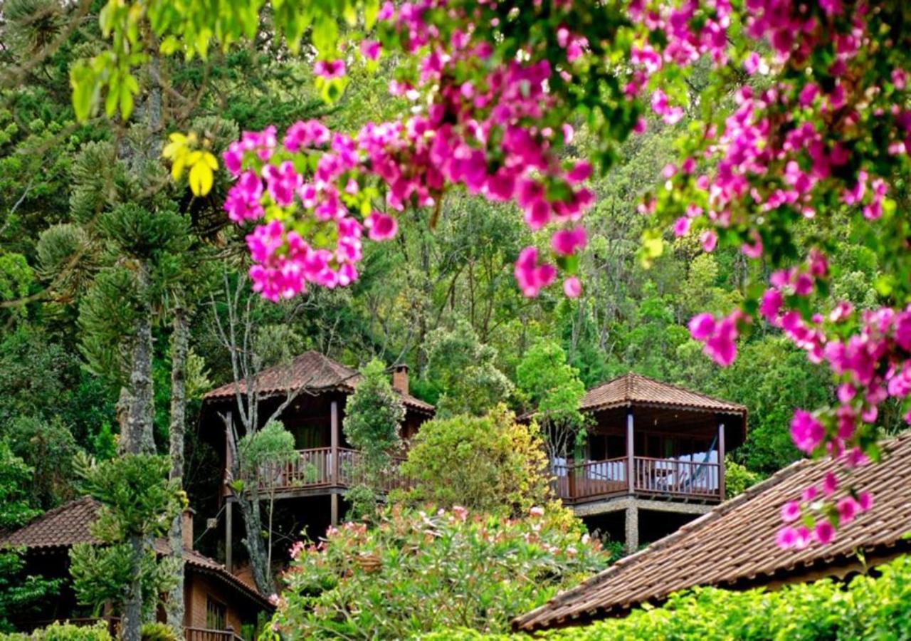 Pousada Das Araucarias วิสกอนจิ จิ เมาอา ภายนอก รูปภาพ